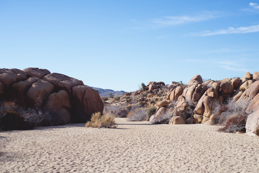 Embracing the Great Outdoors: How Traveling Can Transform Your Life